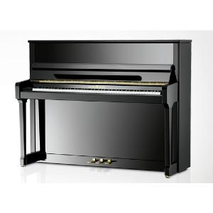 PIANO DROIT SILENCIEUX SCHIMMEL C116 TRADITION SG