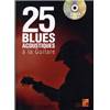 TAUZIN BRUNO - 25 BLUES ACOUSTIQUE A LA GUITARE + DVD