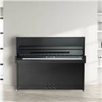 PIANO DROIT WILHELM SCHIMMEL W 114 MODERN - Noir Supermat