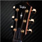 GUITARE ELECTRO-ACOUSTIQUE TAYLOR 50th Anniversary 314CE - Shaded Edge Burst