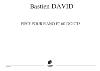 DAVID BASTIEN - PIECE POUR PIANO ET 60 DOIGTS (VENDU PAR LOT DE 3 EXEMPLAIRES)